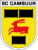 SC Cambuur Leeuwarden