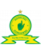 Mamelodi Sundowns FC