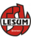 TSV Lesum-Burgdamm