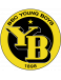BSC Young Boys U19