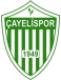 Cayeli Spor