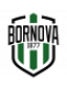 Bornova 1877 SK