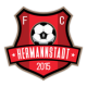 AFC Hermannstadt