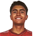 Nicolas Benjamin Villarroel Galindo