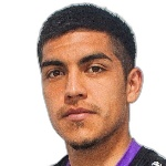 Nicolás Fernando Araya Bruna
