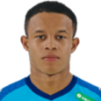 Pedro Henrique Silva dos Santos