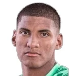 Fabrisio André Mesías Silva
