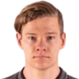Raiko Ilves