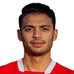 Hesham Adel Mohamed Nabawi