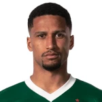 Murilo Cerqueira Paim