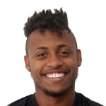 Paulo Vitor Fernandes Pereira