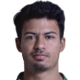 Vinicius Henrique Santos Ferreira
