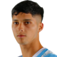 Elías Alberto Berríos Malhue