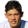 Luis Gonzalo Torres Varas